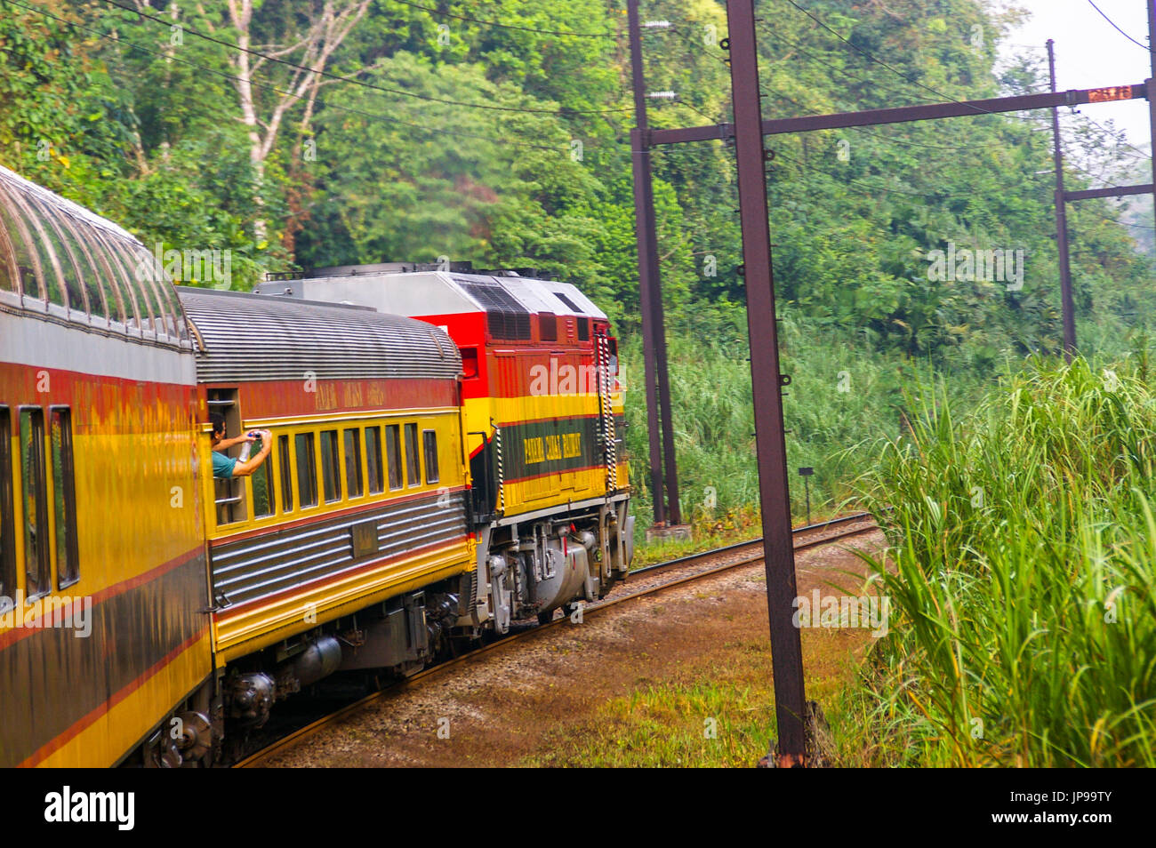 Views of the panama canal railway train in the rainforest traveling from Panama City to Colon Stock Photo