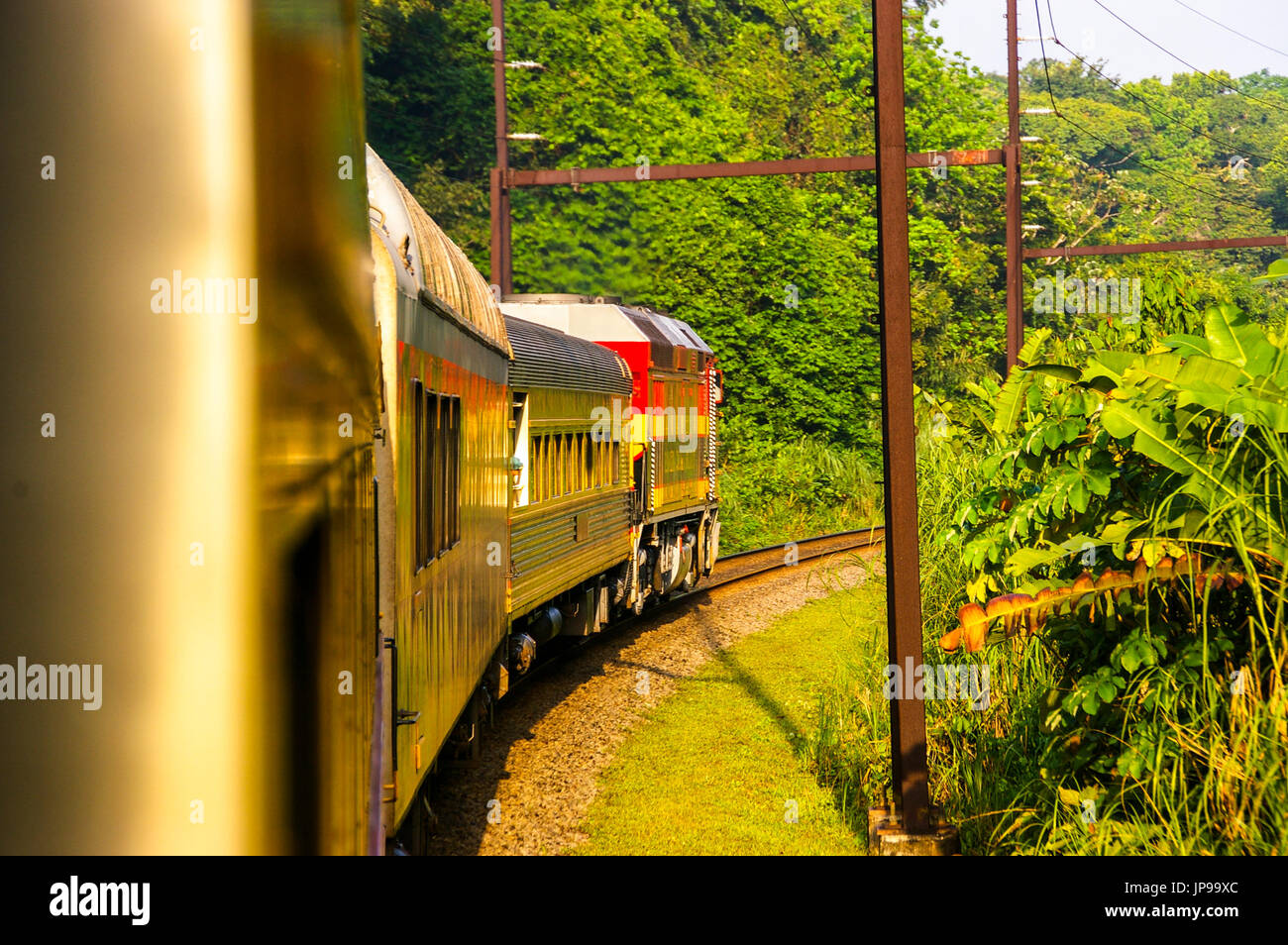 Views of the panama canal railway train in the rainforest traveling from Panama City to Colon Stock Photo