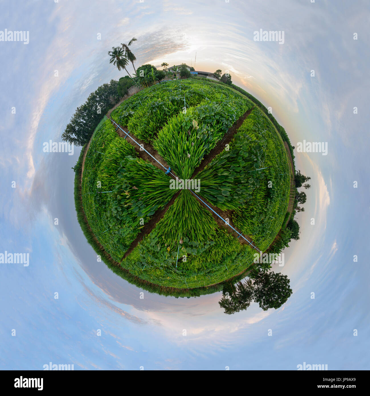 360 panorama market hi-res stock photography and images - Alamy
