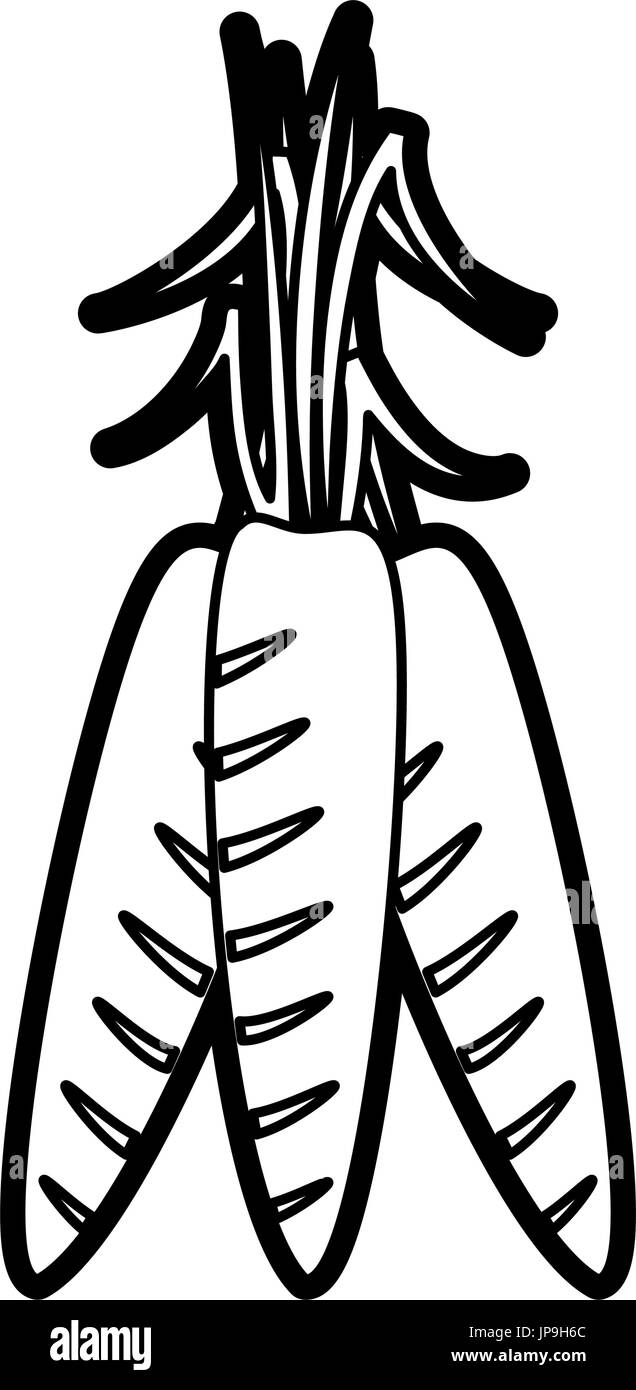 Healthy eating carrots Black and White Stock Photos & Images - Alamy