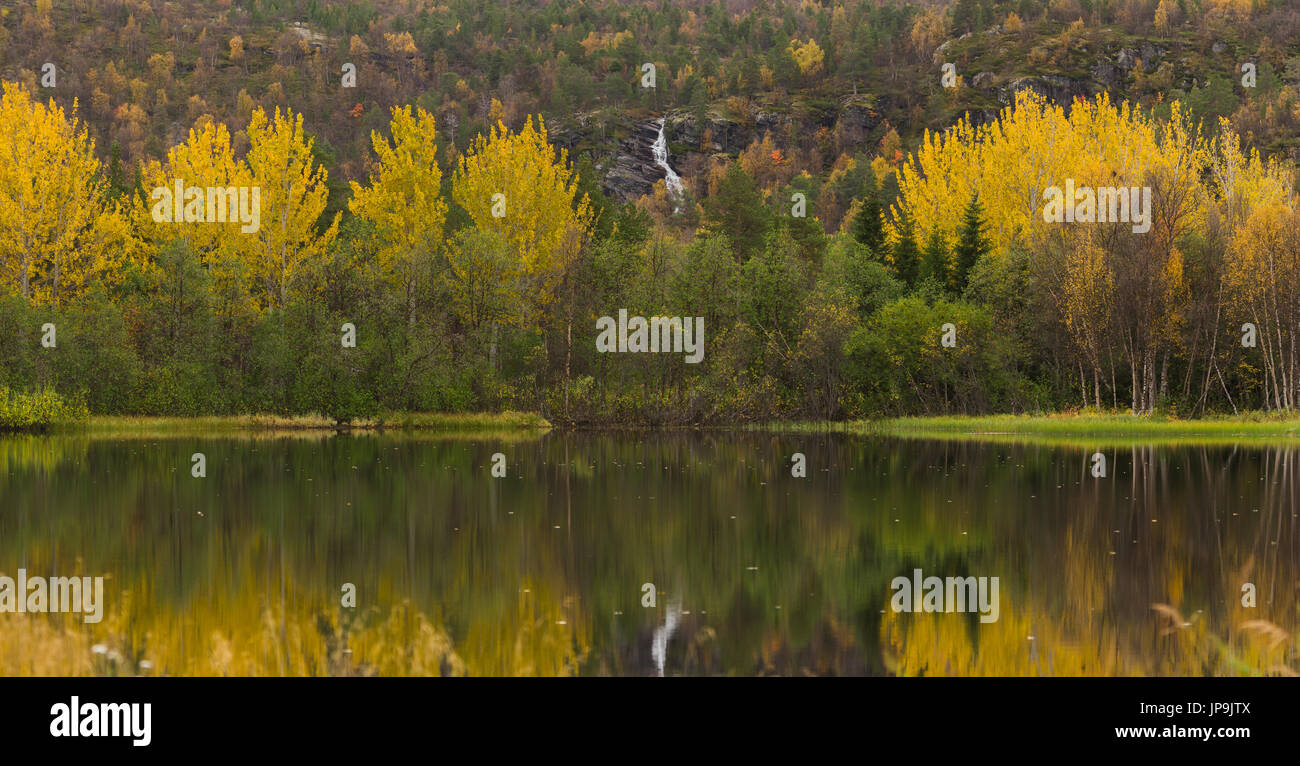 Summer fall autumn hi-res stock photography and images - Alamy