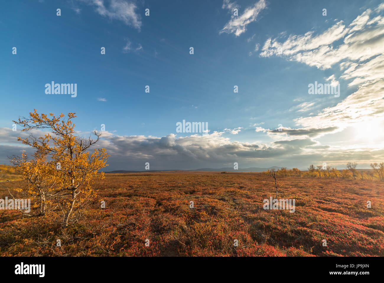 autumn fall daylight summer Stock Photo - Alamy