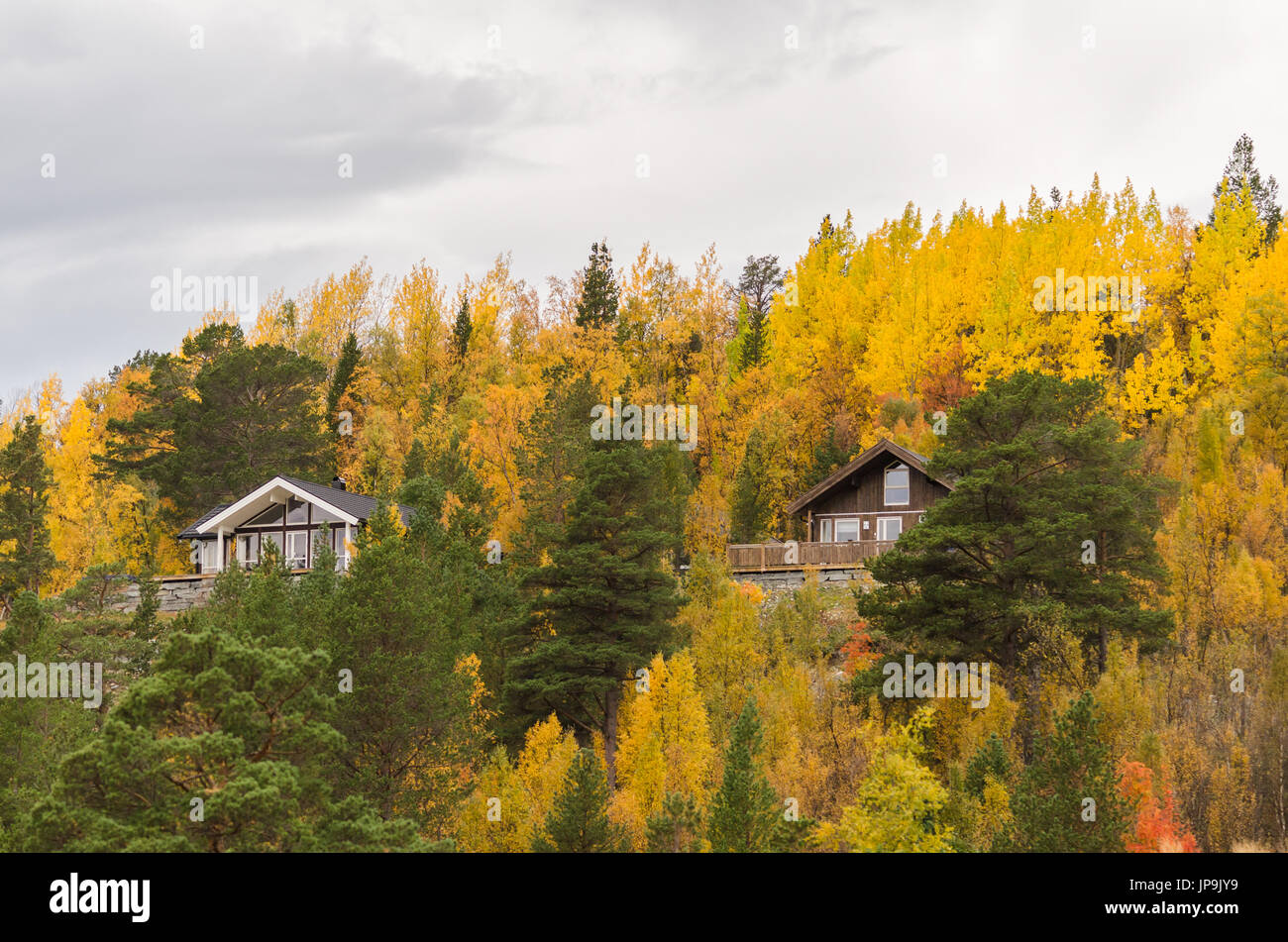 Summer autumn leaves hi-res stock photography and images - Alamy