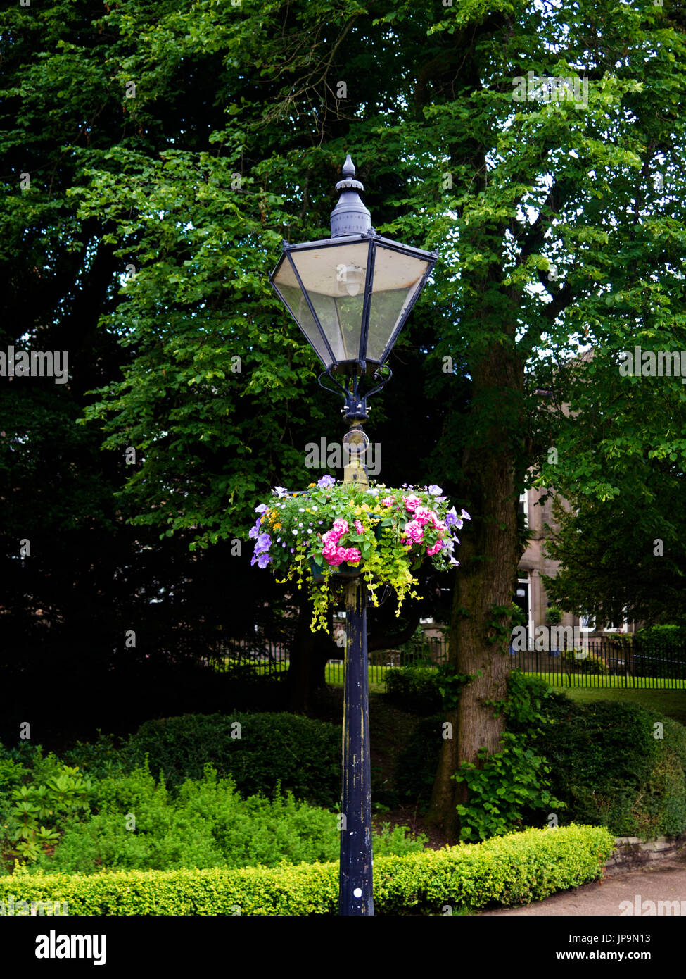 Victorian street lamp with flower basket Stock Photo - Alamy