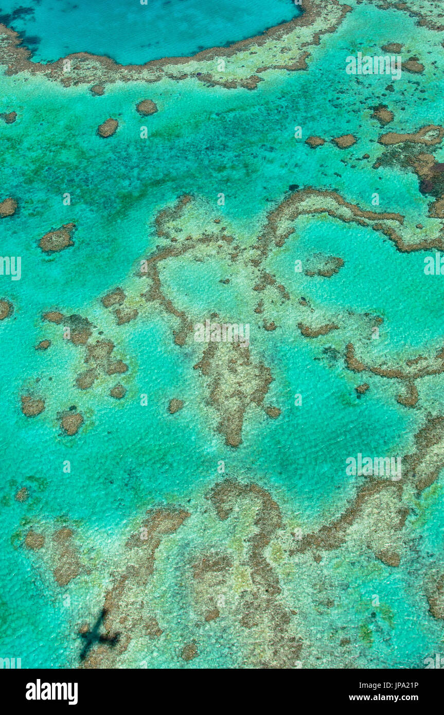 great-barrier-reef-australia-stock-photo-alamy