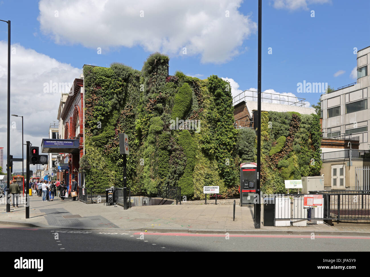 A highly successful 'green wall' planted on the side of London's Edgware Road Bakerloo Line Underground station. Stock Photo