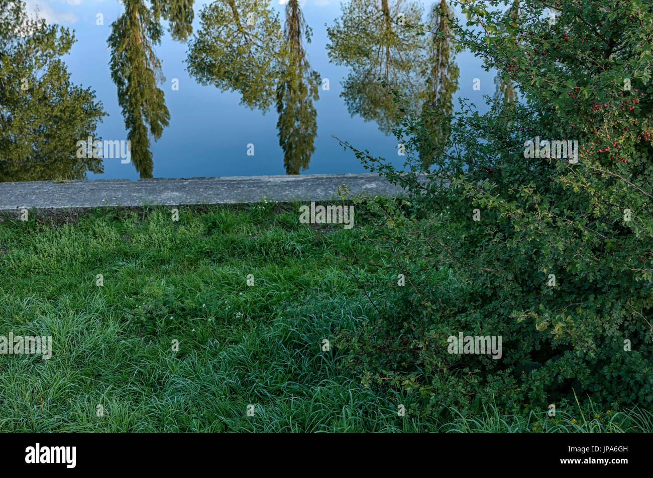 Natural Science, Reflection of trees in river water near the shore Stock Photo