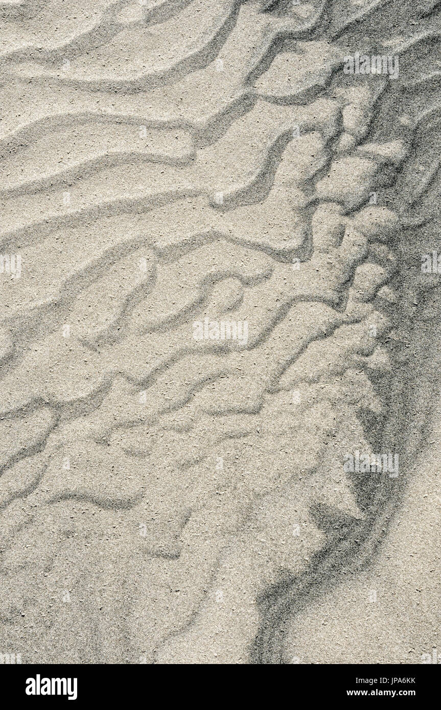 Natural Science, Sand on the beach, close-up Stock Photo - Alamy