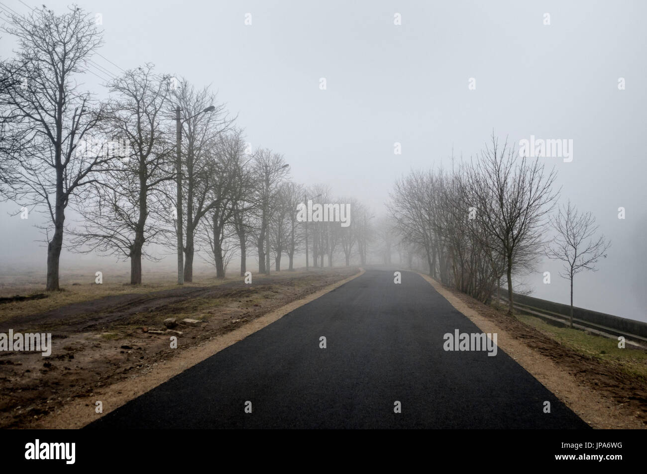Natural Science, Asphalt road in foggy morning Stock Photo - Alamy