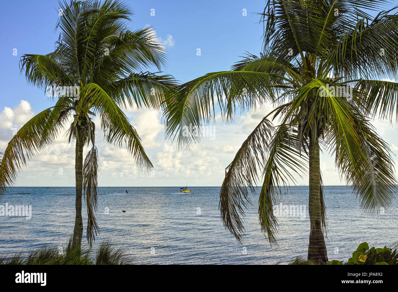 Biscayne Bay, Miami, Florida, USA Stock Photo