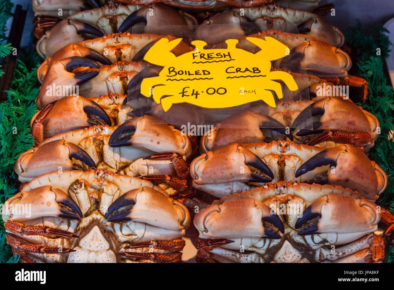 England, Norfolk, Cromer, Fish Shop Display of Cromer Crabs Stock Photo
