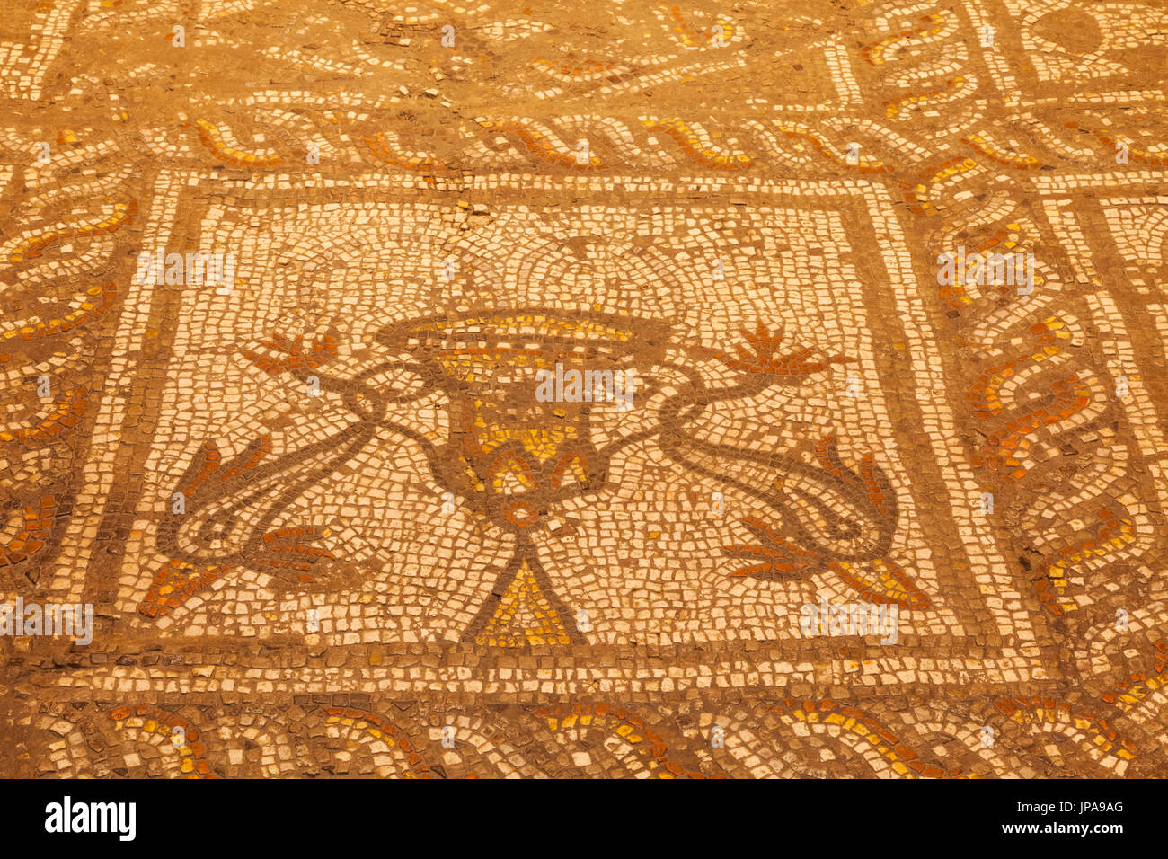 England, Hertfordshire, St.Albans, The Verulamium Museum, Roman Mosaics Stock Photo