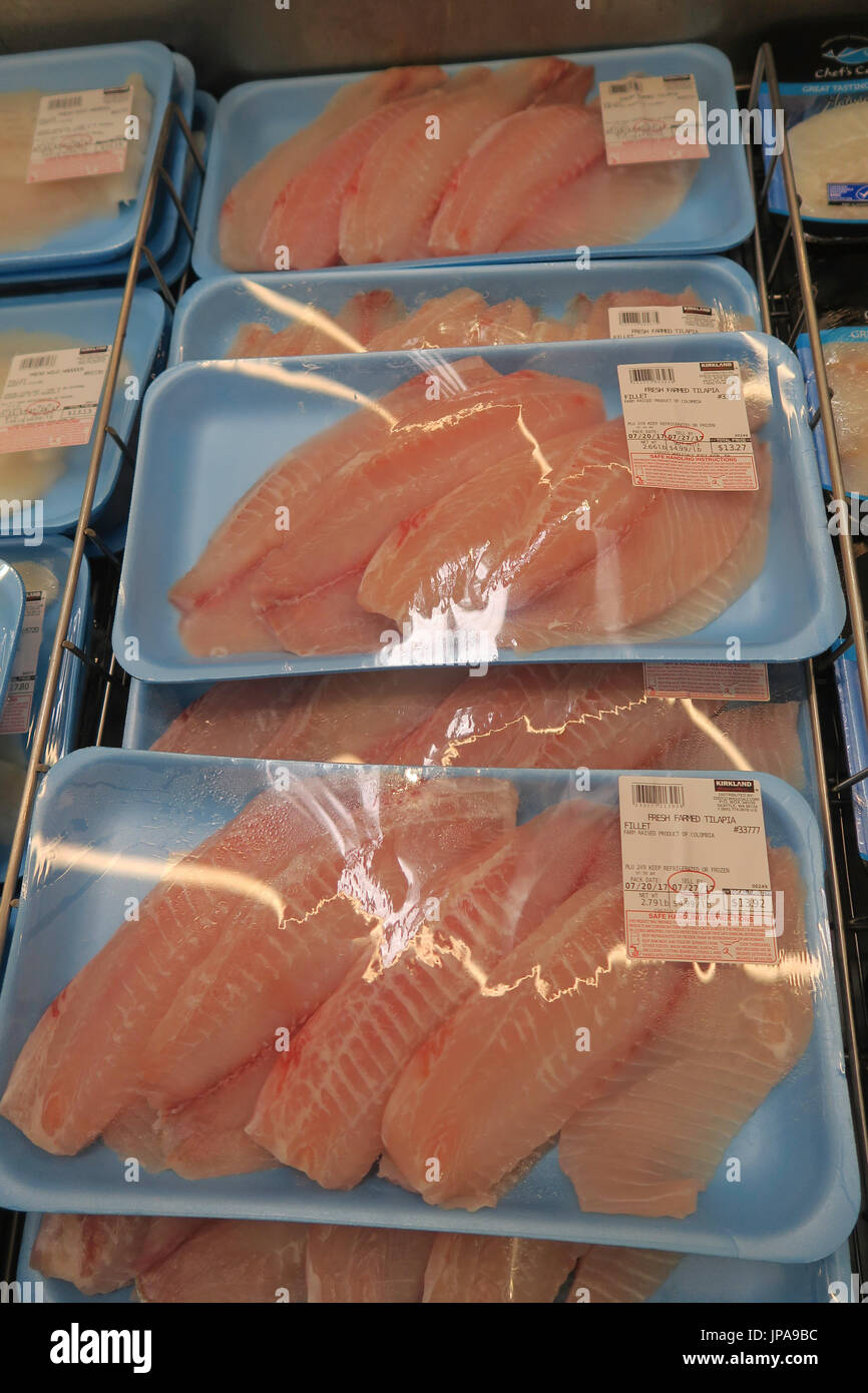 Packages of Fresh Farmed Tilapia Fillet Fish at Costco, Massachusetts, USA Stock Photo