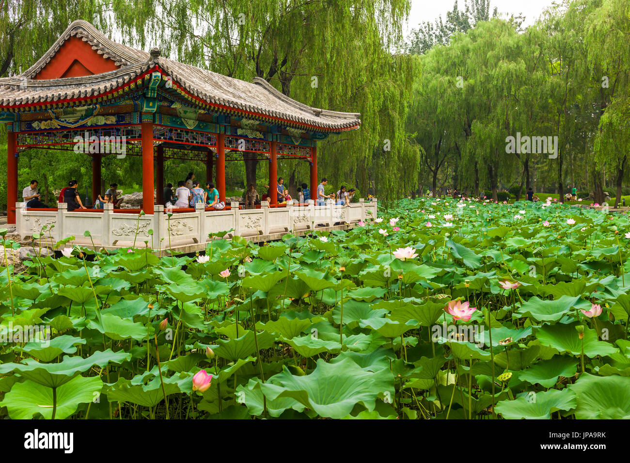 Ritan Park, Beijing, China Stock Photo