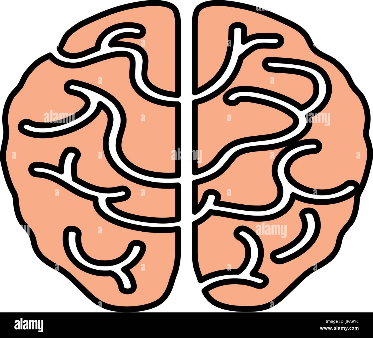 Human brain isolated Stock Vector Image & Art - Alamy