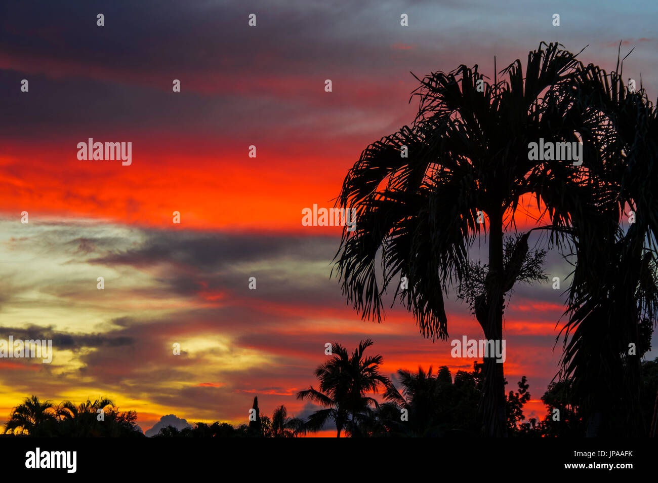 Tropical sunrise hi-res stock photography and images - Alamy