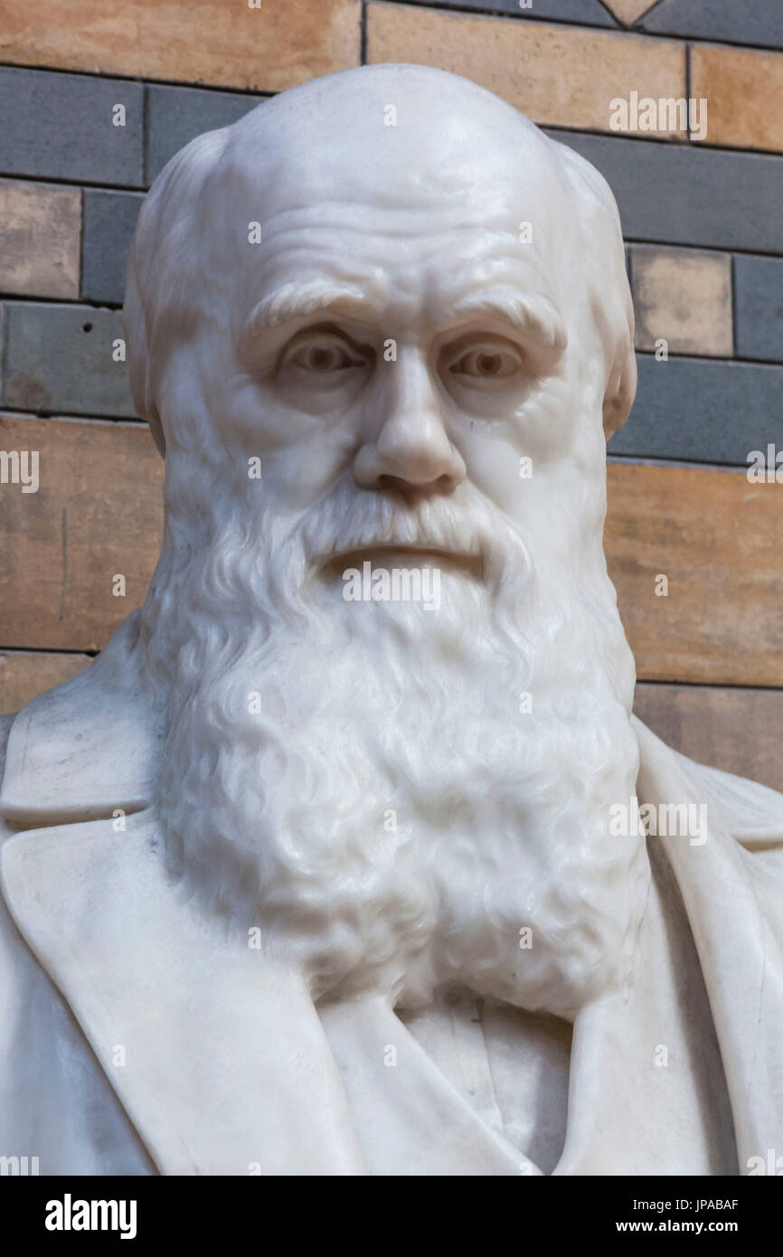 Statue of charles darwin hires stock photography and images Alamy