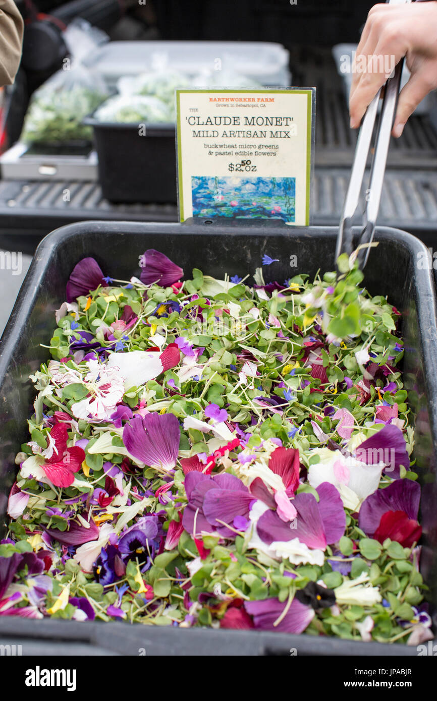 Bin of salad mix of buckwheat microgreens and edible flowers for sale