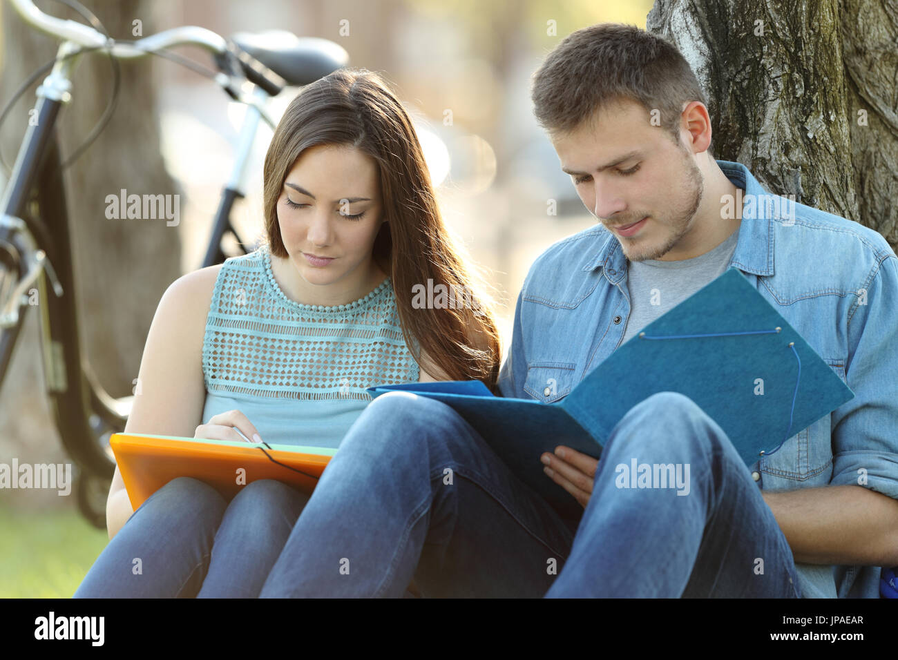 Couple of students studying together outside in a park Stock Photo
