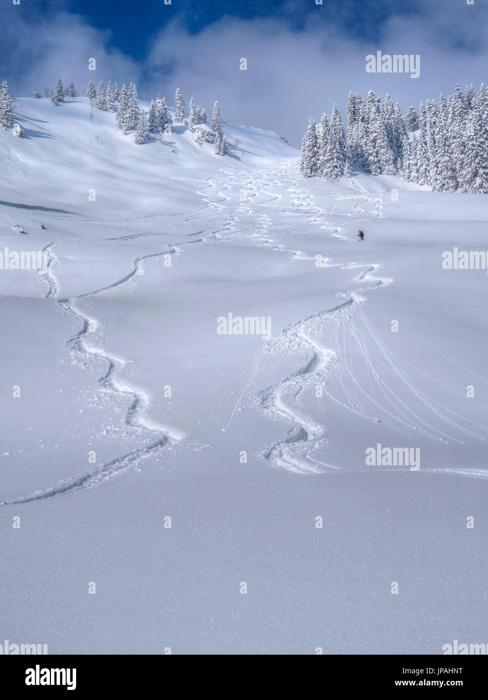 Tracks in the snow, winter sportsperson go from the Lacherspitze. Stock Photo