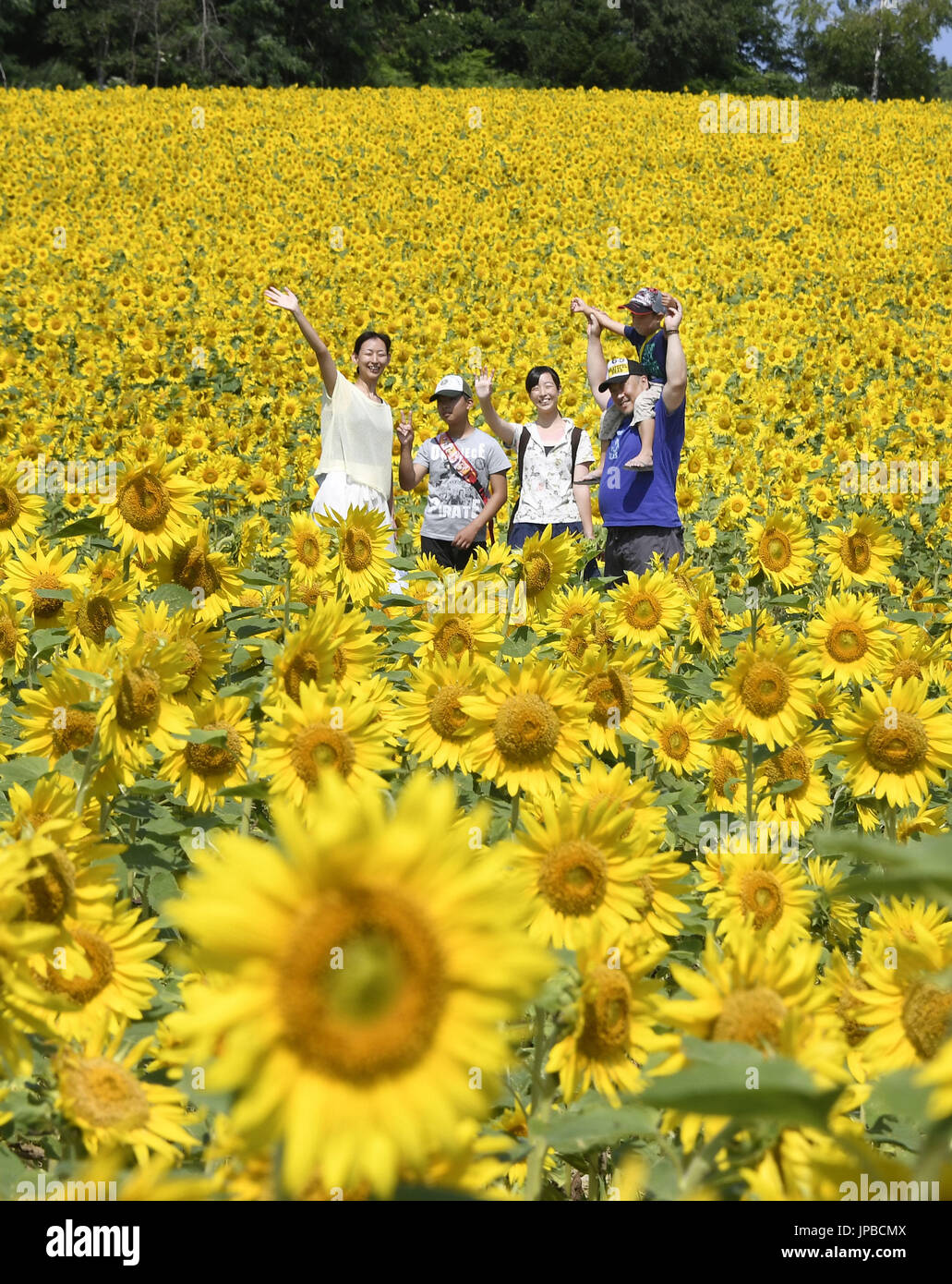 Tourists wave in Japan's largest sunflower field in the town of Hokuryu, Hokkaido, on Aug. 7