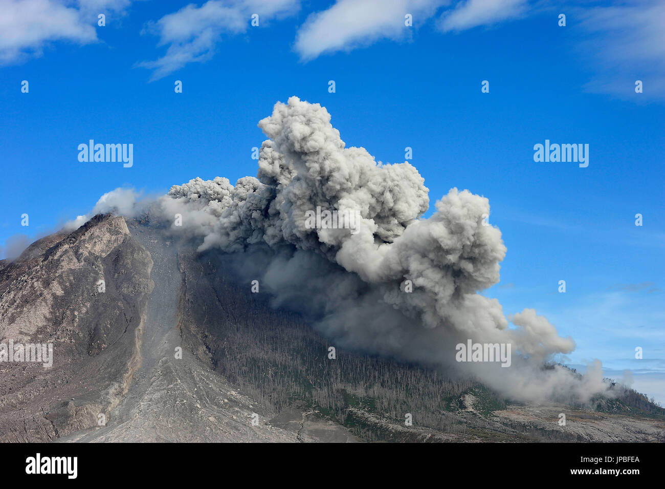 Volcano eruption with a pyroclastic cloud in the Mt. Sinabung. the slopes of the mountain with burnt trees Stock Photo