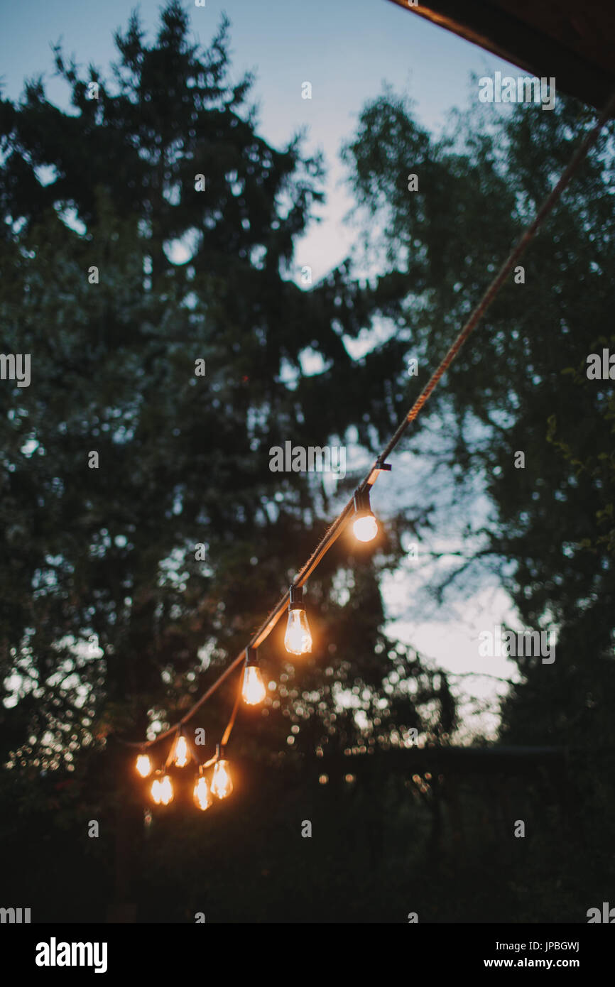 Alternative wedding, garden, decoration, string of lights, evening