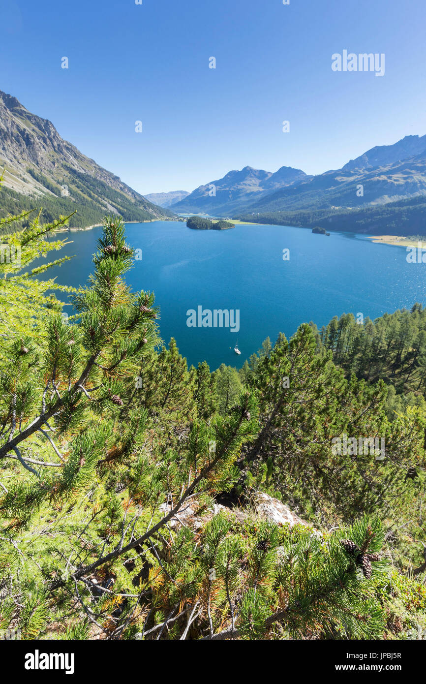 View of the blue lake Sils from Plaun da Lej Canton of Graubünden Engadine Switzerland Europe Stock Photo