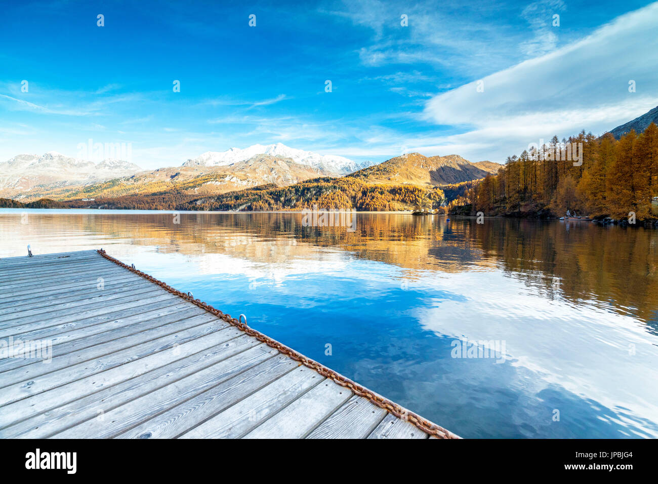 Colorful woods reflected in the blue Lake Sils in autumn Plaun da Lej Upper Engadine Canton of Graubunden Switzerland Europe Stock Photo