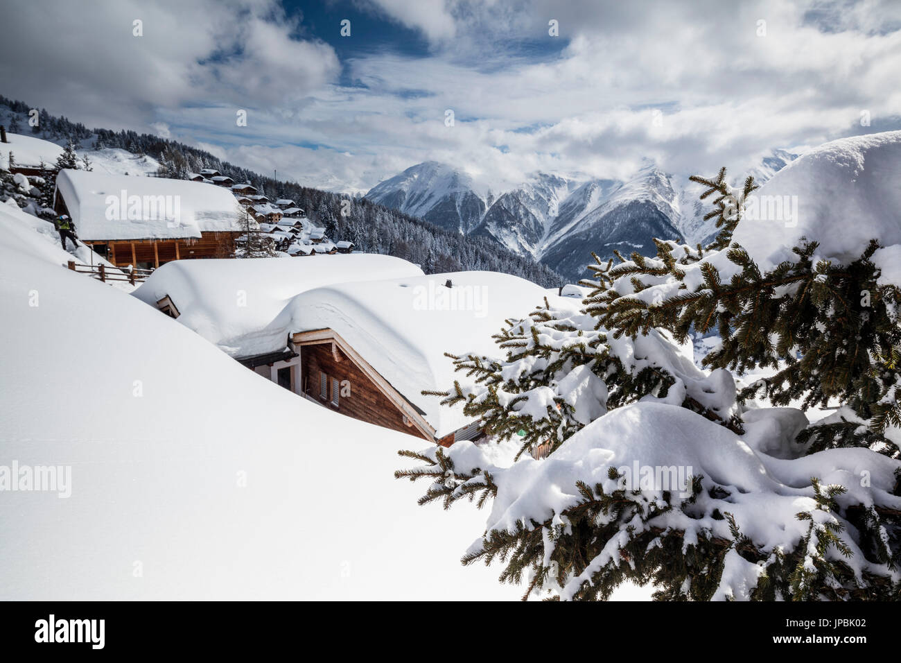 Tree covered with snow frames the typical mountain huts Bettmeralp district of Raron canton of Valais Switzerland Europe Stock Photo