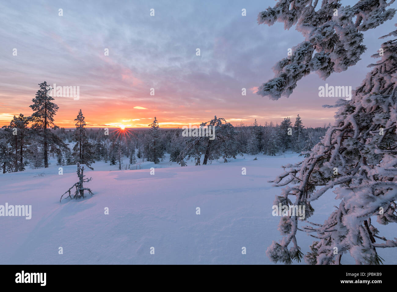 The last lights of the arctic sunset on the snowy woods Vennivaara Rovaniemi Lapland region Finland Europe Stock Photo