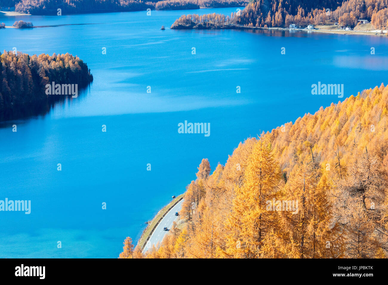 The blue Lake Sils surrounded by the colorful woods of autumn Maloja Canton of Graubünden Engadine Switzerland Europe Stock Photo