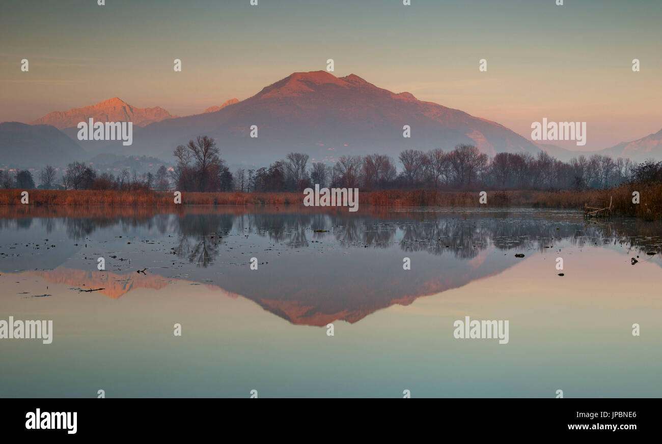 Sunset on Lake Alserio, Como province, Brianza, Lombardy, Italy, Europe Stock Photo