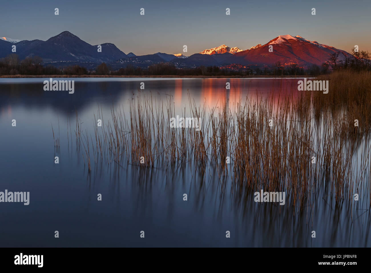 Sunset Lake Alserio, Como province, Brianza, Lombardy, Italy, Europe Stock Photo