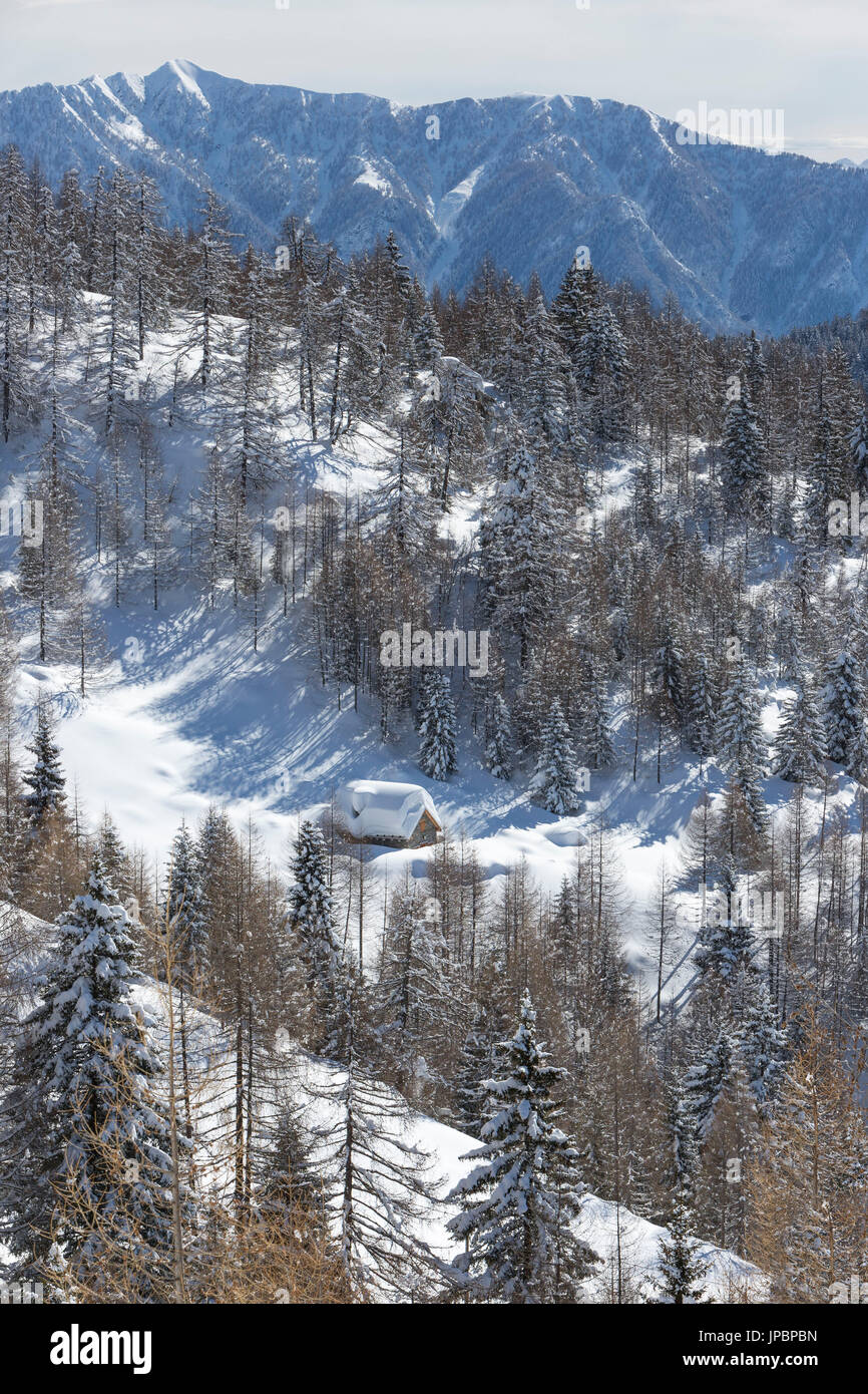 Winter view of the Alp Solcio (Alp Solcio, Varzo, Verbano Cusio Ossola province, Piedmont, Italy, Europe) Stock Photo