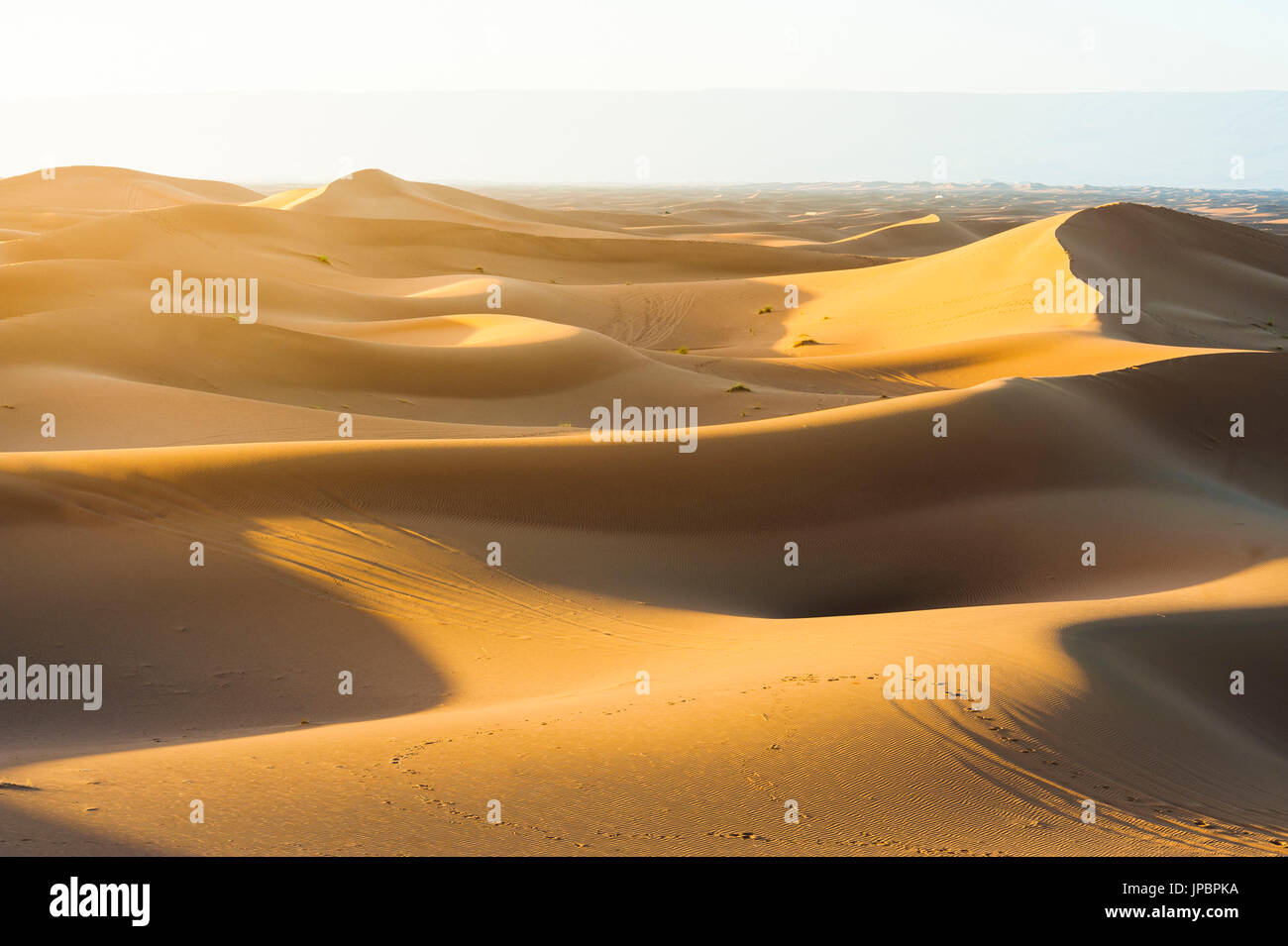Erg Chigaga, Sahara desert, Morocco. Sand dunes at sunset. Stock Photo