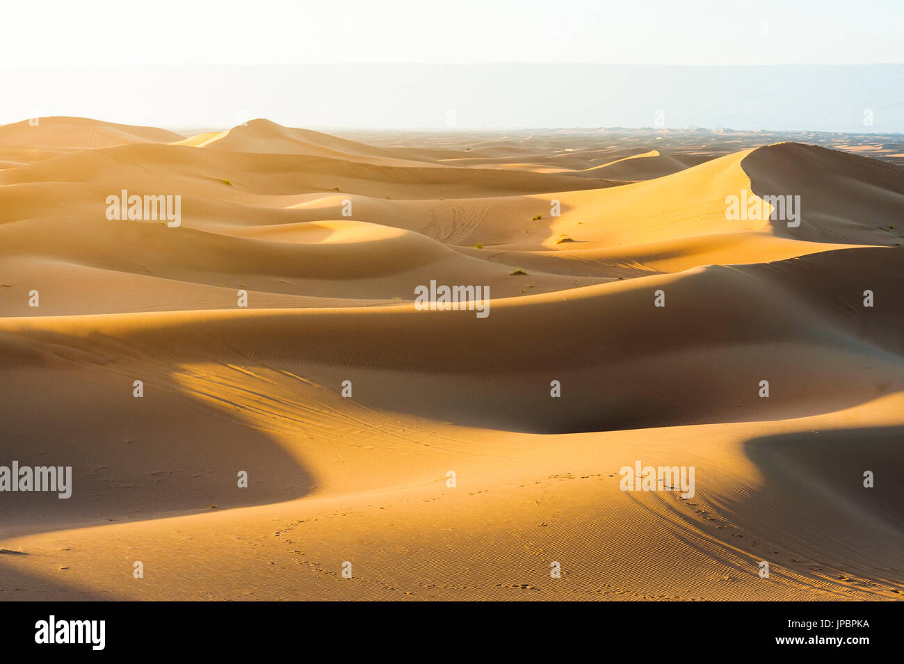 Sahara desert sand dunes sunset hi-res stock photography and images - Alamy