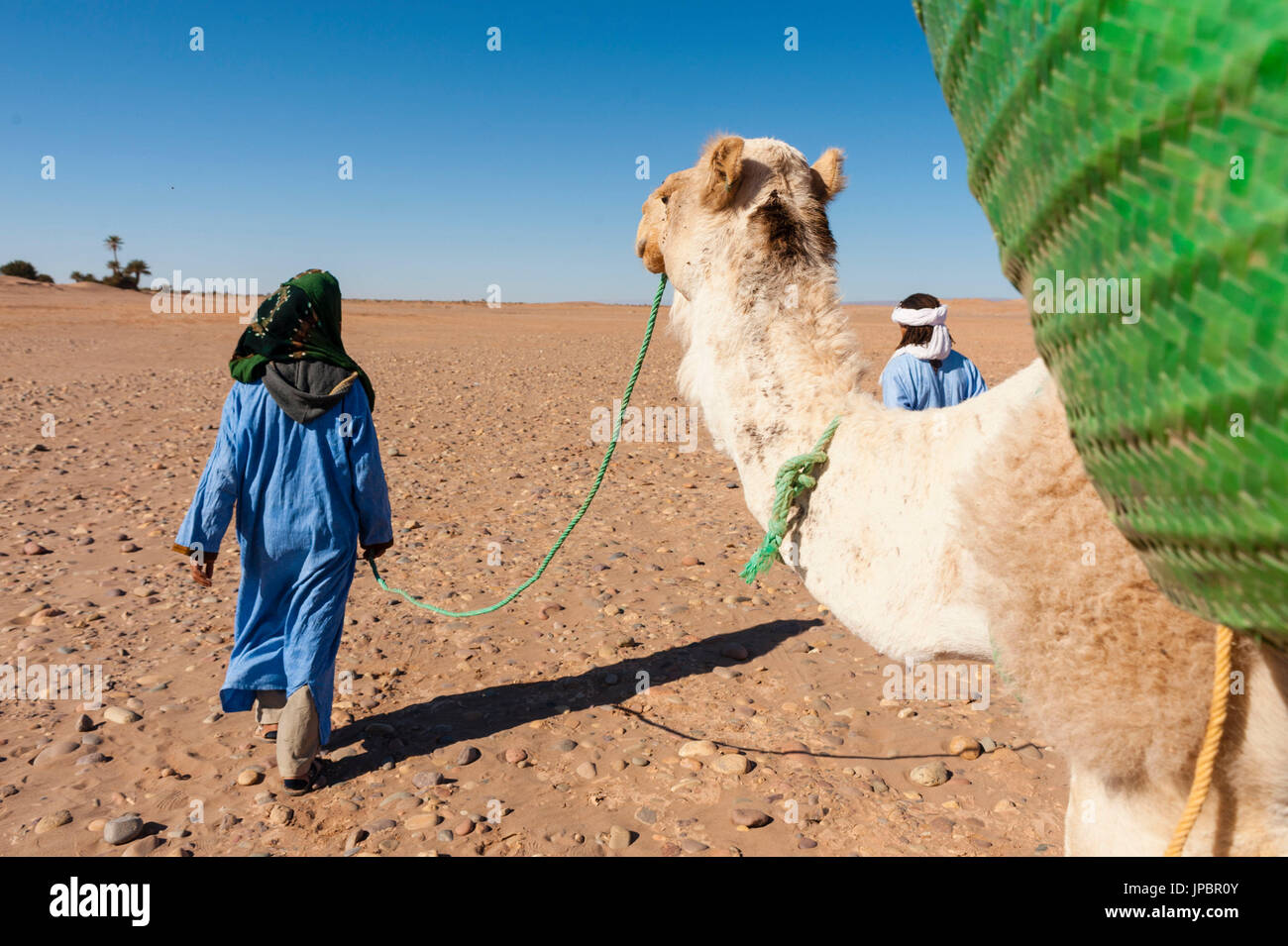 M'Hamid, Morocco. Tourist walking on the desert with camels and berber guides Stock Photo