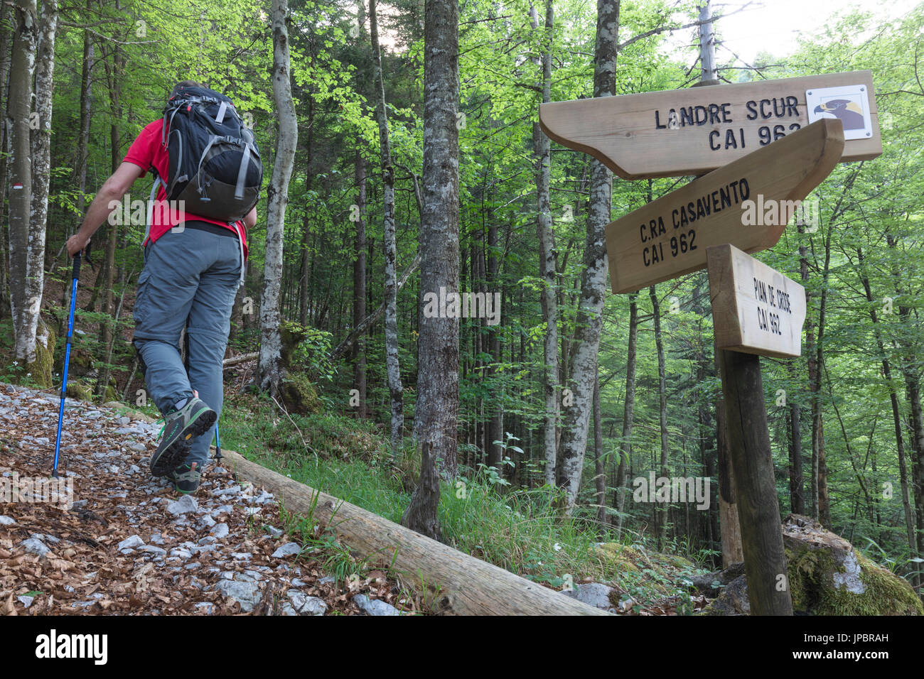 Europe, Italy, Friuli Venezia Giulia, Claut, province of Pordenone. Hiker walking on the path to Landre Scur cave Stock Photo