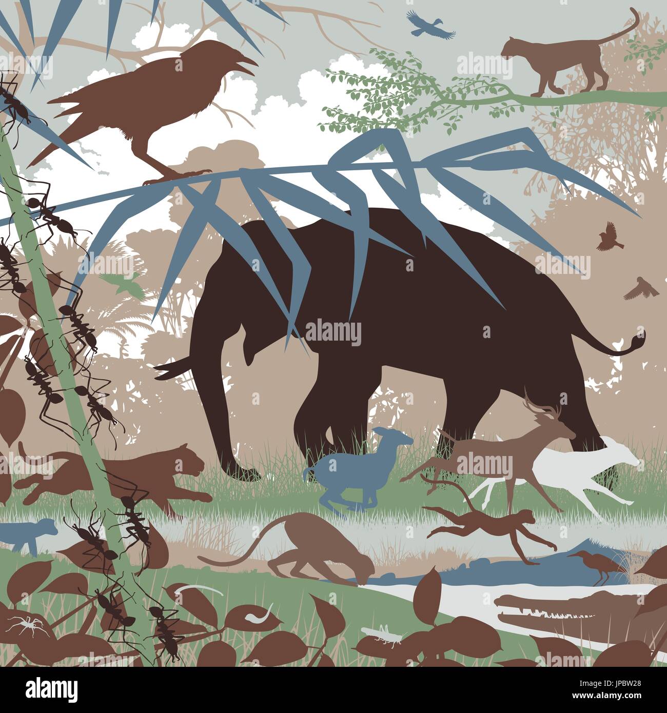Editable vector illustration of diverse asian wildlife in natural habitat Stock Vector