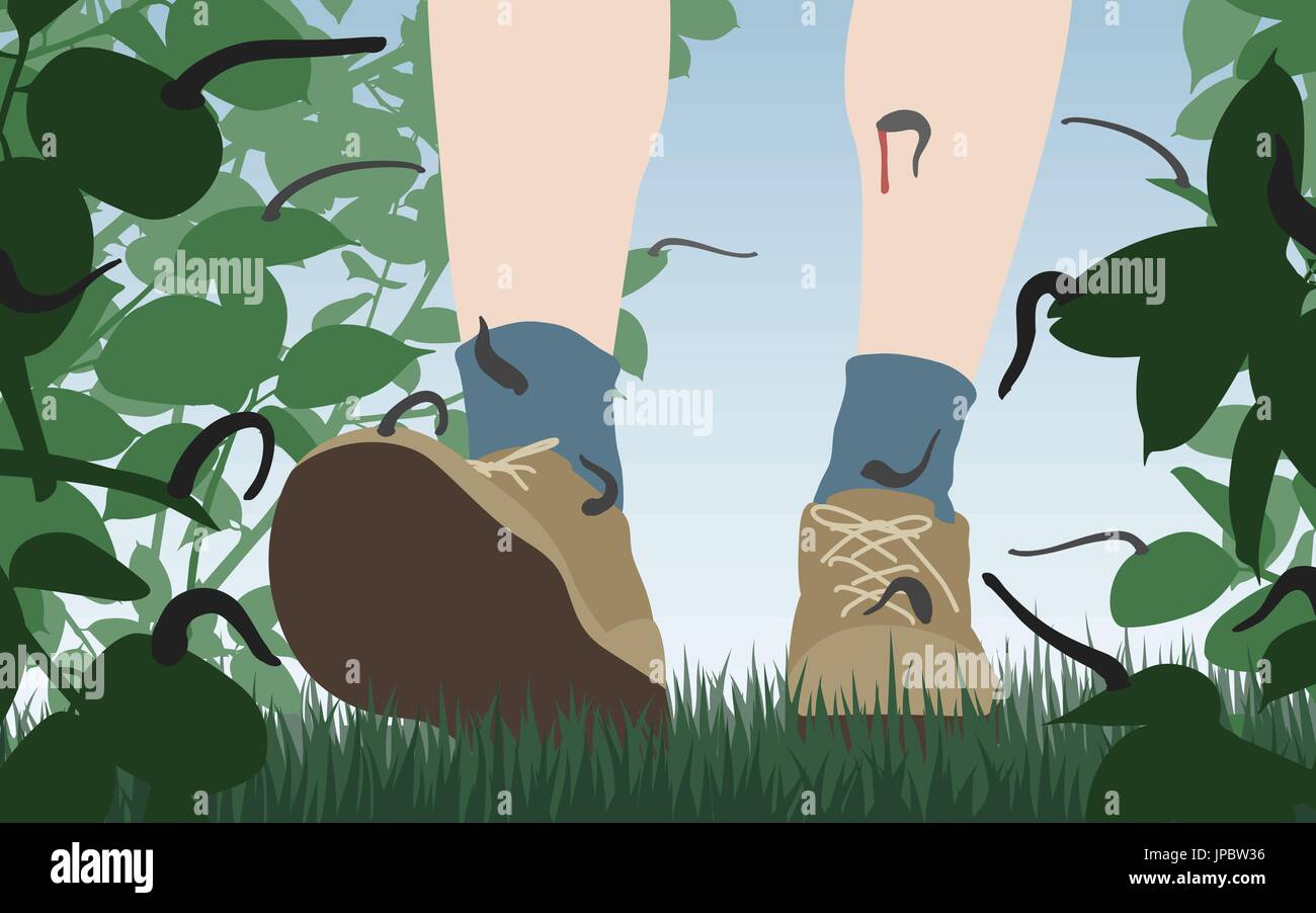 Hiker Vector Stock Vector Images Alamy