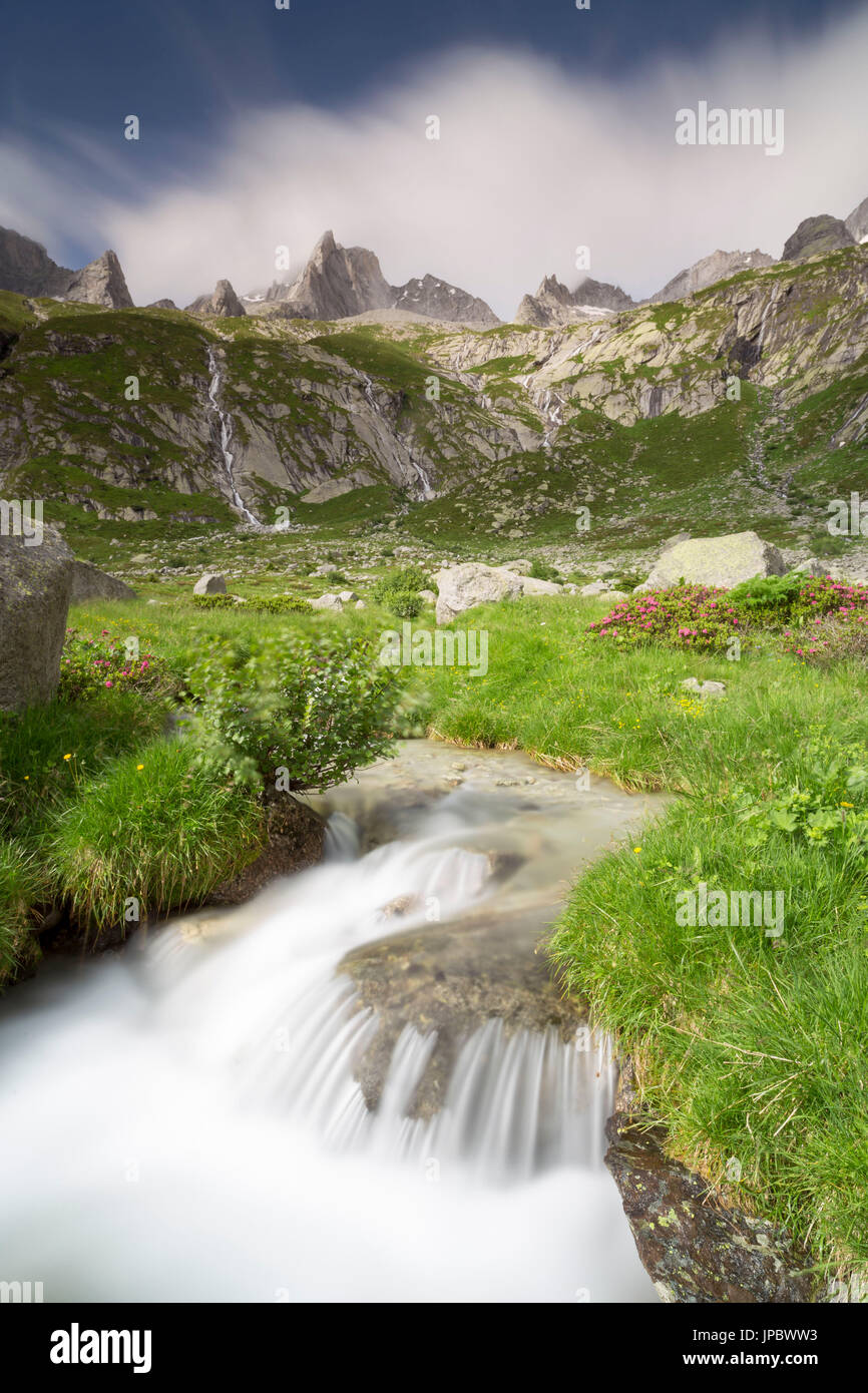 A misty Stream running through the Masino Valley, Pizzo Porcellizzo, Italy Stock Photo