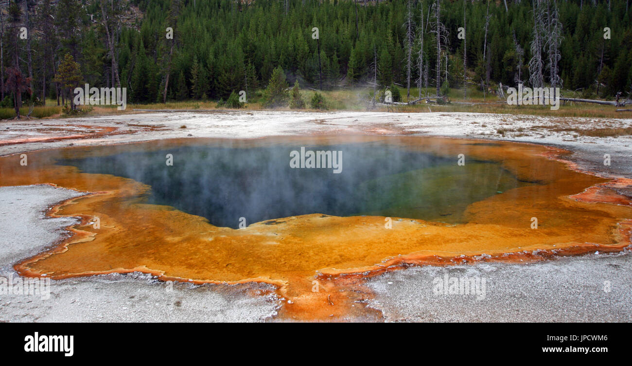 Emerald Pool hot spring in the Black Sand Geyser Basin in Yellowstone National Park in Wyoming USA Stock Photo