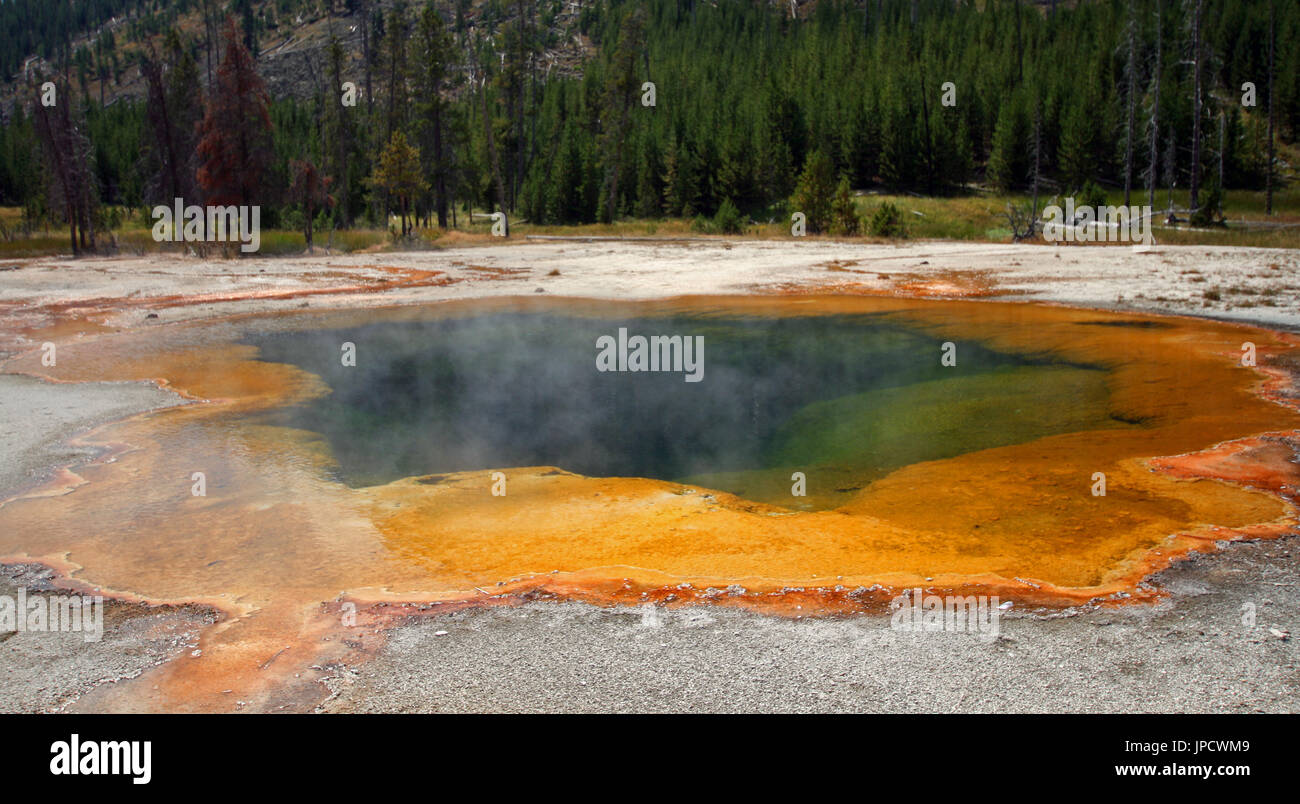 Emerald Pool hot spring in the Black Sand Geyser Basin in Yellowstone National Park in Wyoming USA Stock Photo