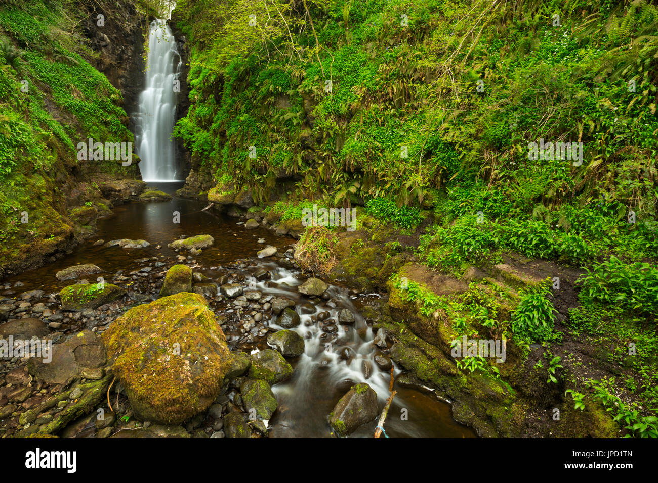 The Cranny Falls near Carnlough in Northern Ireland. Stock Photo