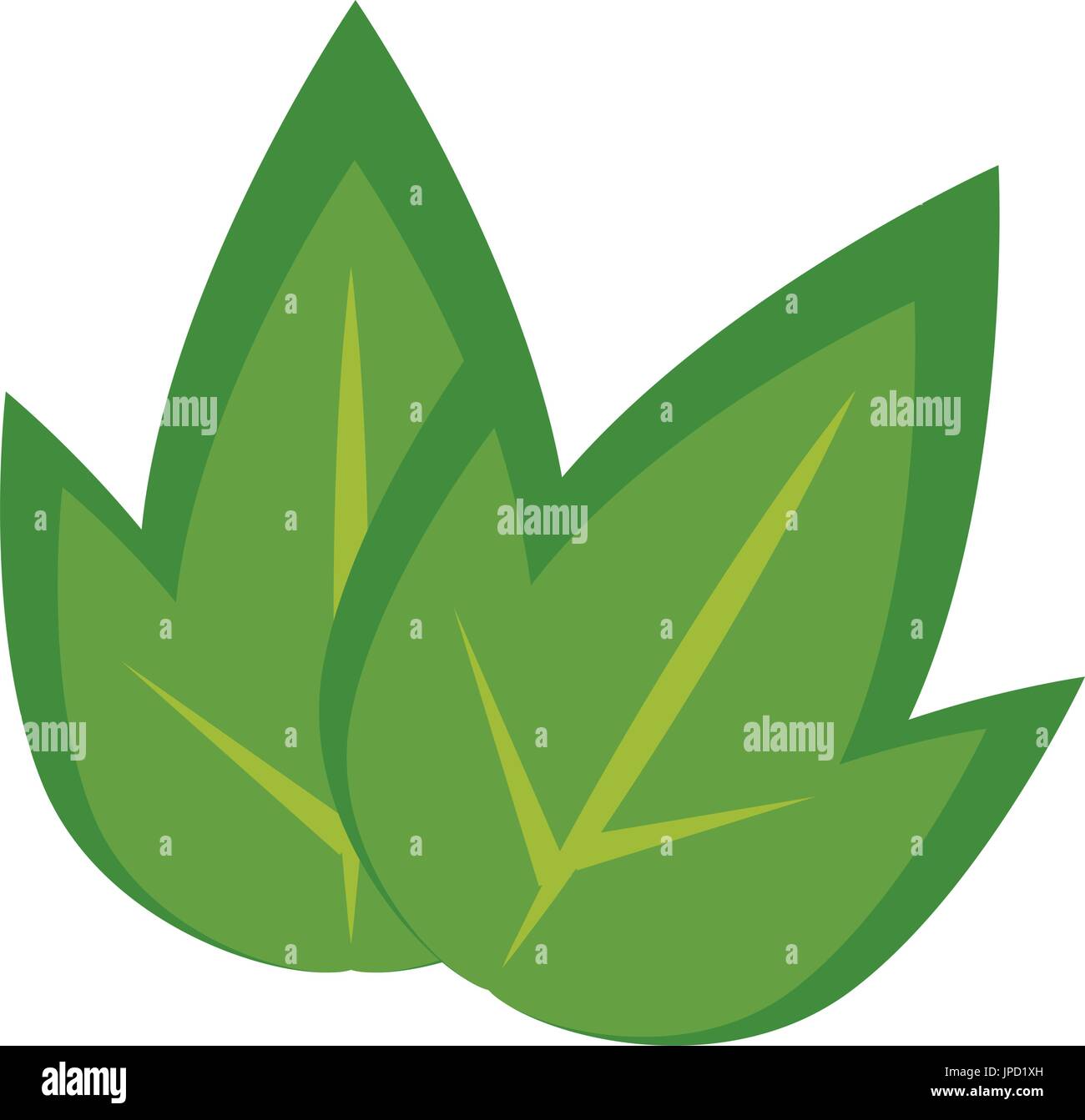 leaves icon over white background vector illustration Stock Vector ...