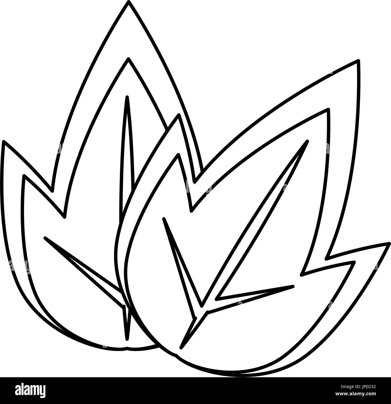 leaves icon over white background vector illustration Stock Vector ...