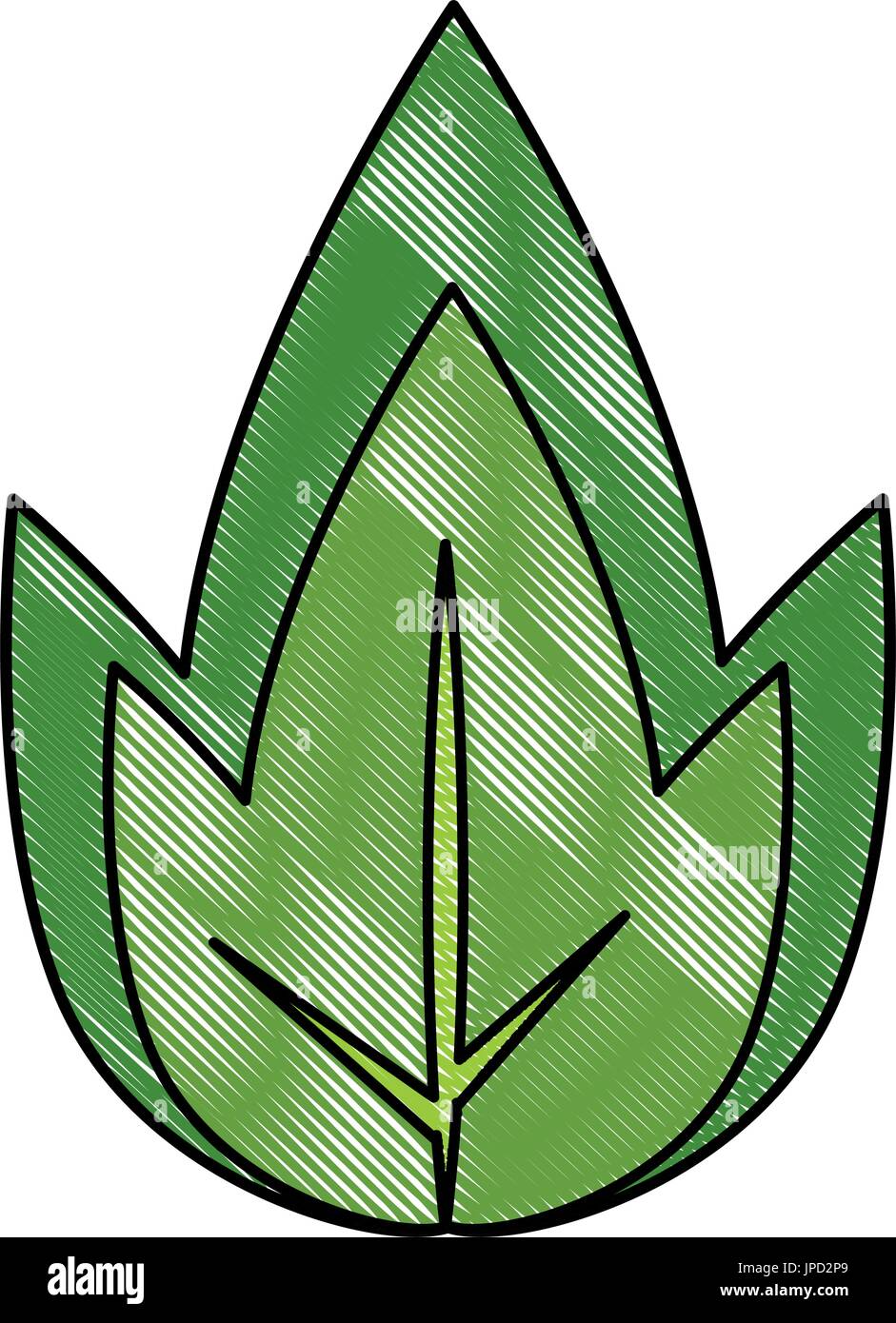 leaf icon over white background vector illustration Stock Vector Image ...