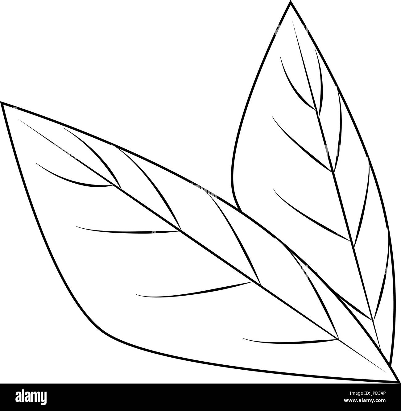 leaves icon over white background vector illustration Stock Vector ...