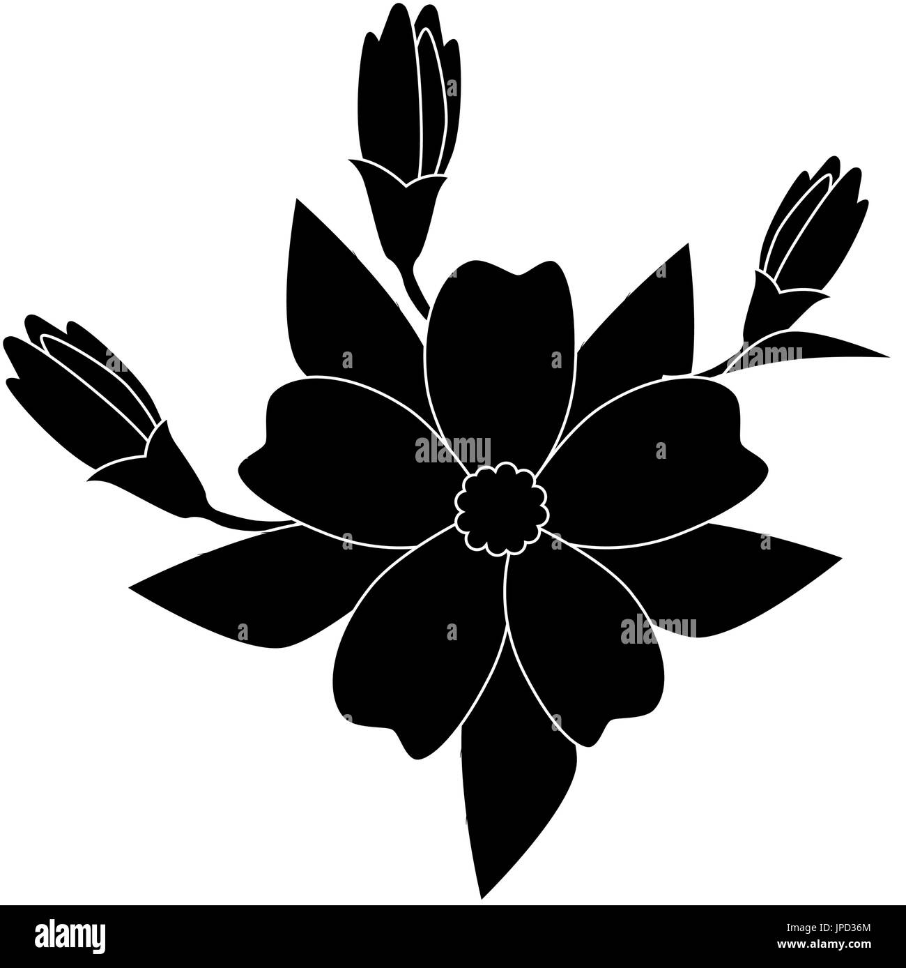 beautiful flower icon over white background vector illustration Stock ...
